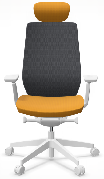 AccisPro 151 SFL wit frame
