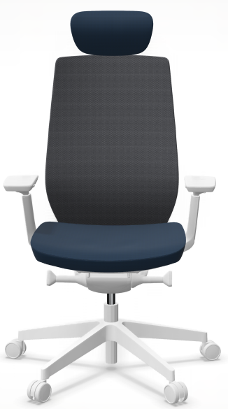 AccisPro 151 SFL wit frame