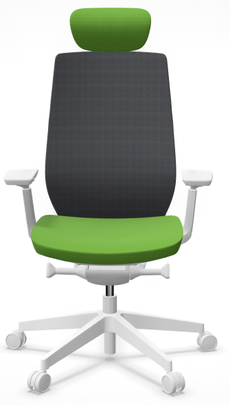 AccisPro 151 SFL wit frame