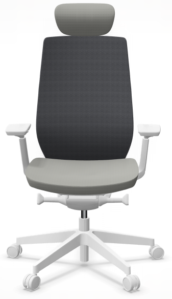 AccisPro 151 SFL wit frame
