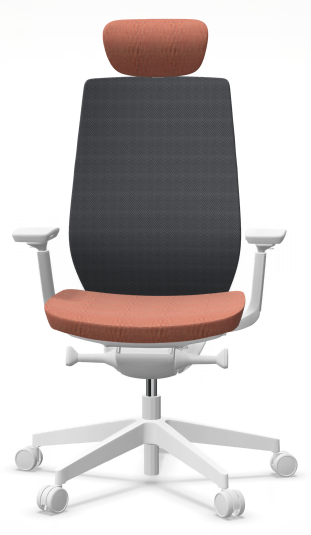 AccisPro 151 SFL wit frame