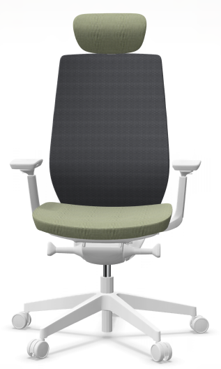 AccisPro 151 SFL wit frame