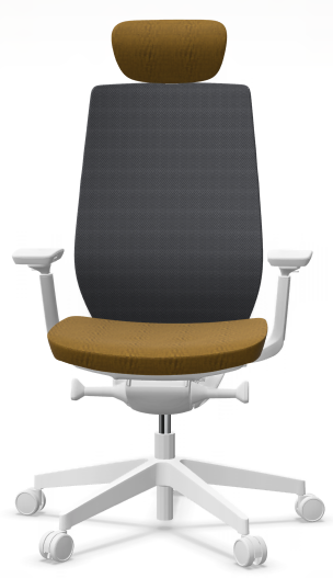 AccisPro 151 SFL wit frame