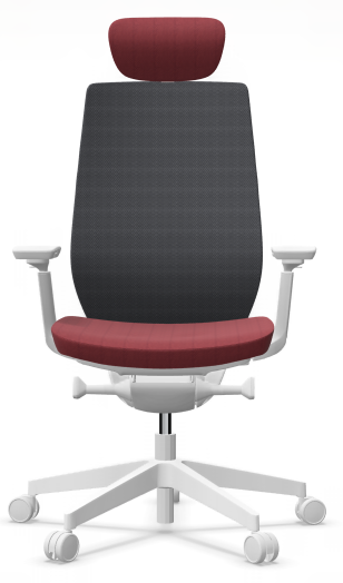 AccisPro 151 SFL wit frame
