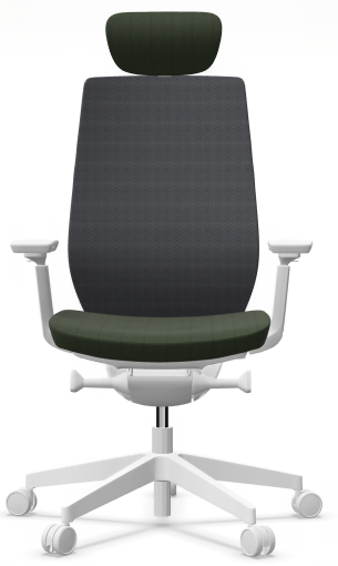 AccisPro 151 SFL wit frame