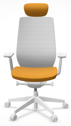 AccisPro 151 SFL wit frame