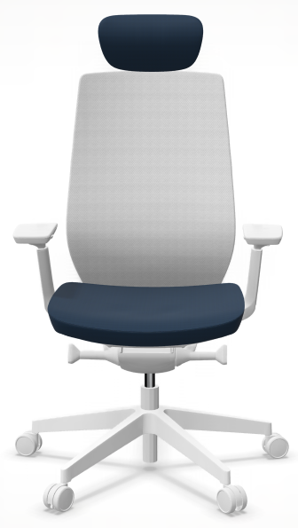 AccisPro 151 SFL wit frame