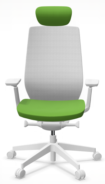 AccisPro 151 SFL wit frame