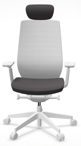 AccisPro 151 SFL wit frame