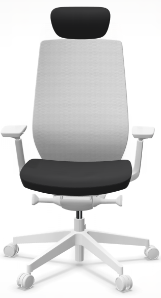 AccisPro 151 SFL wit frame