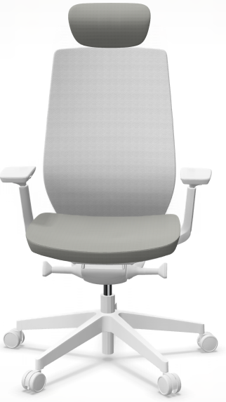 AccisPro 151 SFL wit frame