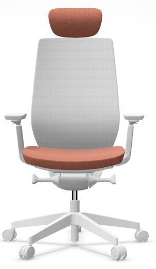 AccisPro 151 SFL wit frame