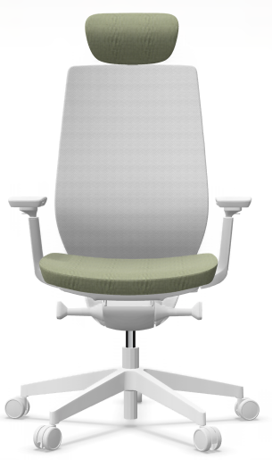 AccisPro 151 SFL wit frame