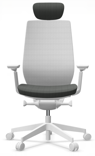 AccisPro 151 SFL wit frame