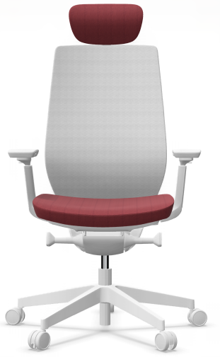 AccisPro 151 SFL wit frame