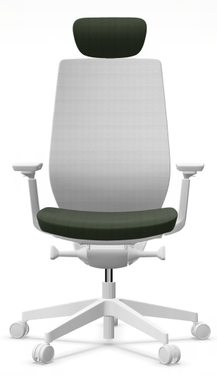 AccisPro 151 SFL wit frame