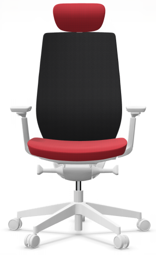 AccisPro 151 SFL wit frame