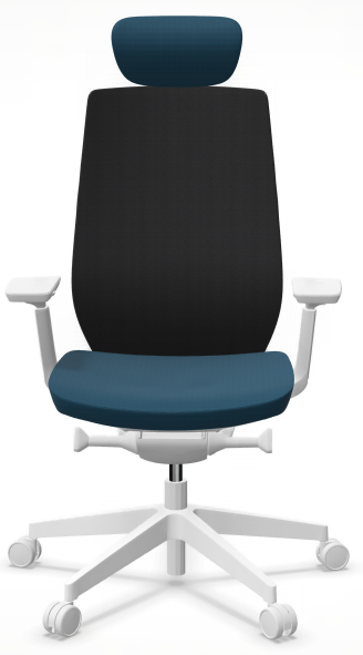 AccisPro 151 SFL wit frame