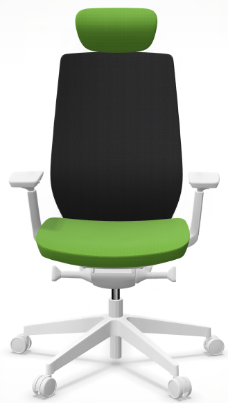 AccisPro 151 SFL wit frame