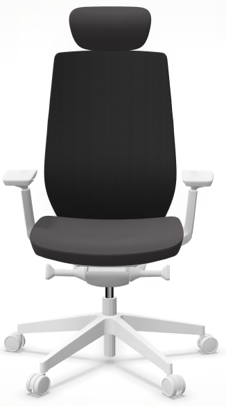 AccisPro 151 SFL wit frame
