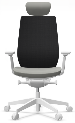 AccisPro 151 SFL wit frame