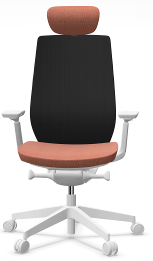 AccisPro 151 SFL wit frame