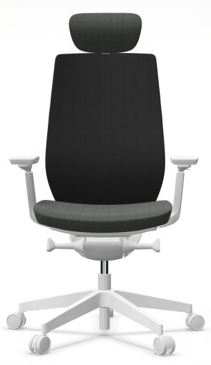 AccisPro 151 SFL wit frame