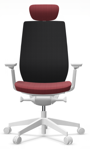 AccisPro 151 SFL wit frame