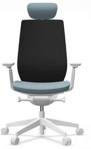 AccisPro 151 SFL wit frame