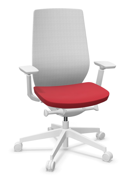 AccisPro 150 SFL wit frame Runner