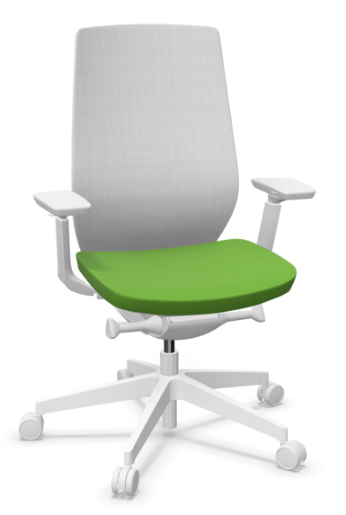 AccisPro 150 SFL wit frame Runner