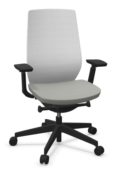 AccisPro 150 SFL zwart frame Runner