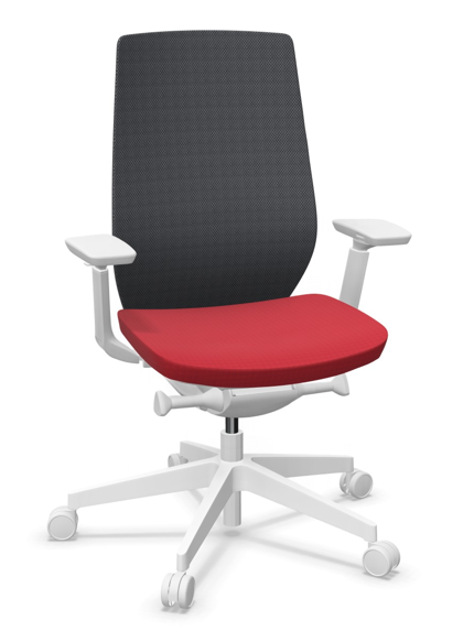 AccisPro 150 SFL wit frame Runner