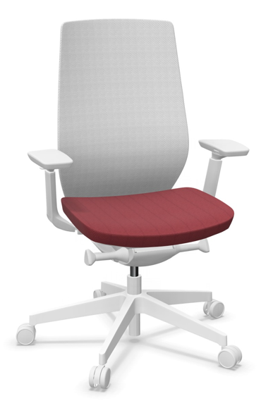 AccisPro 150 SFL wit frame Runner