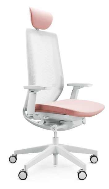 AccisPro 151 SFL wit frame