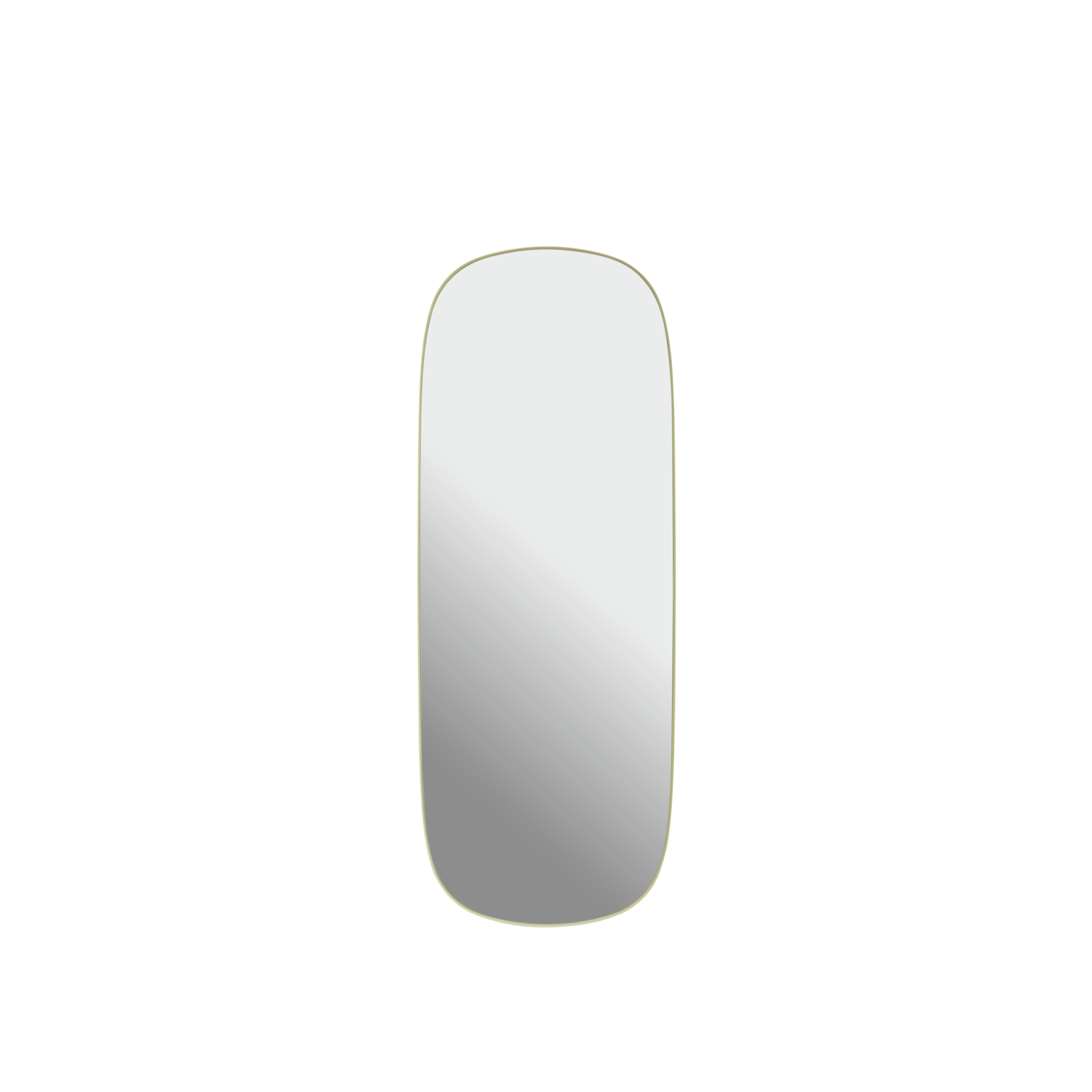 Framed Mirror 118 x 44,5 CM