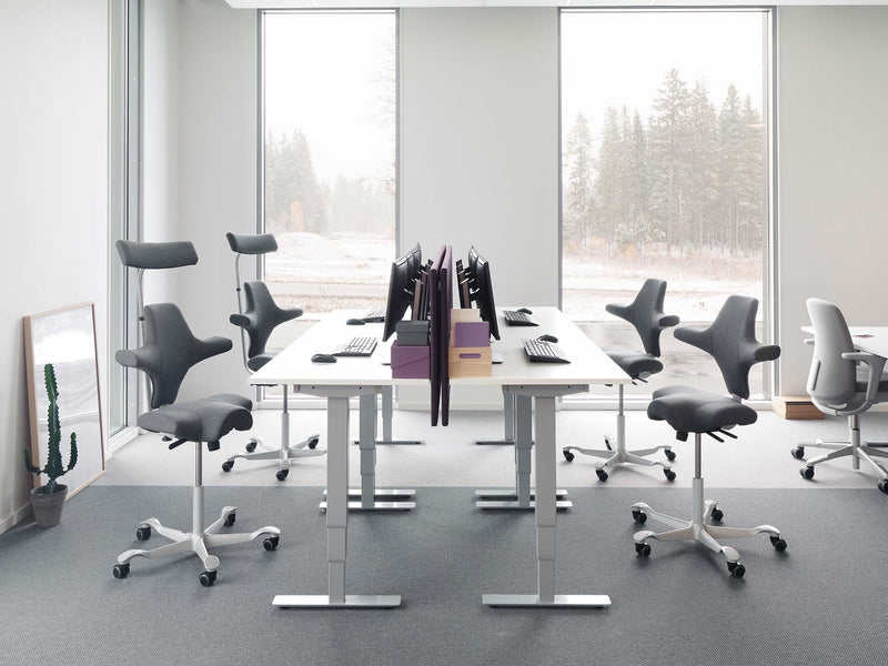 Ergonomische werkplekken