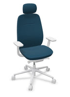 Pace 101SFL MA LG