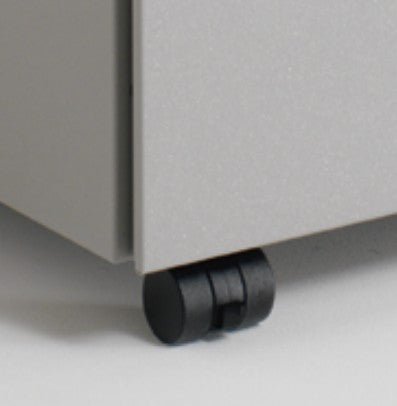 Neutral Plus